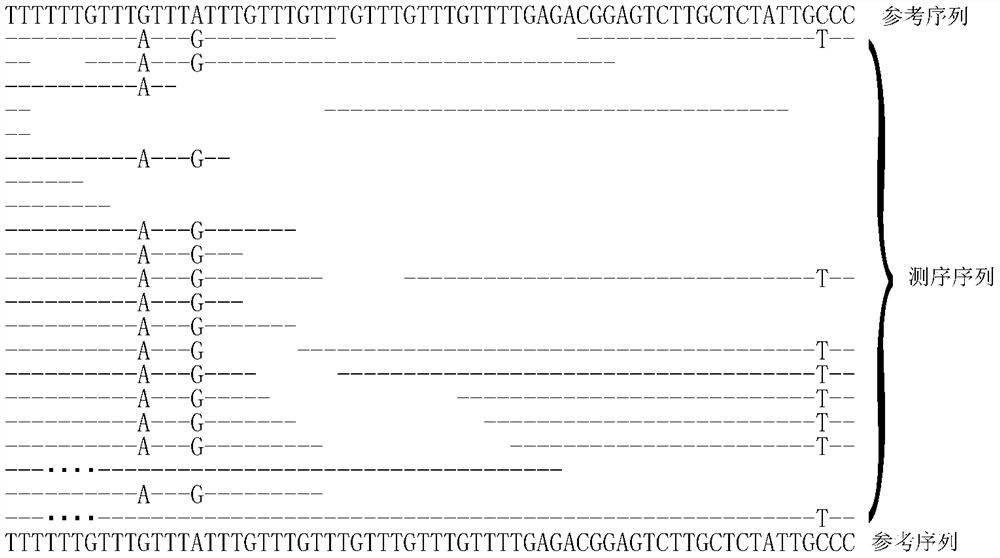 Genome variation detection method, device and terminal