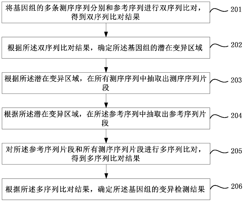 Genome variation detection method, device and terminal