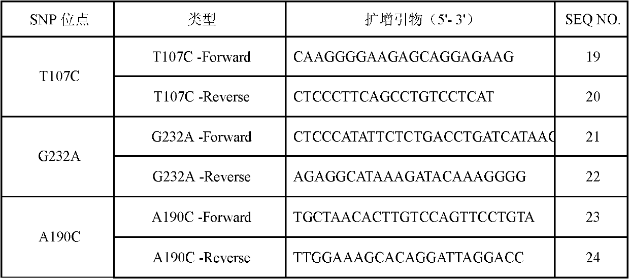 Specific primers and liquid phase chip for SNP (Single Nucleotide Polymorphism) detection of STK39 (Serine/Threonine Kinase) gene