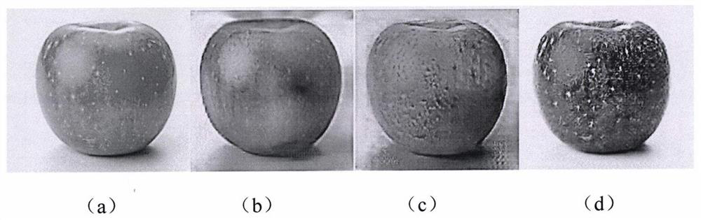 Fruit image freshness attribute migration method based on adversarial network