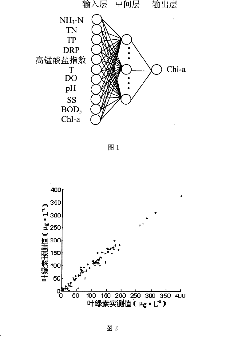 Method for predicting chlorophyll a concentration in water based on BP nerval net