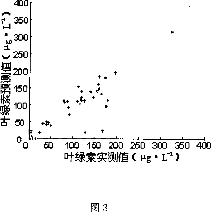 Method for predicting chlorophyll a concentration in water based on BP nerval net