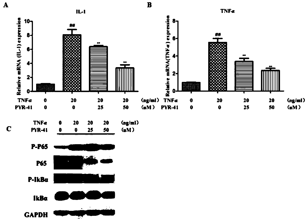 Application of pyrazolidinyl compounds in preparation of preparations used for treating dermatitis