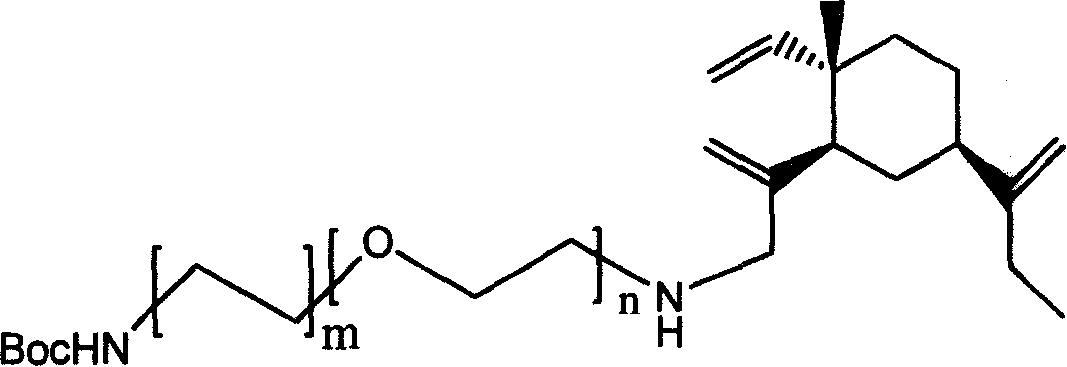 Beta-elemene diamine derivatives, synthesis method and use thereof