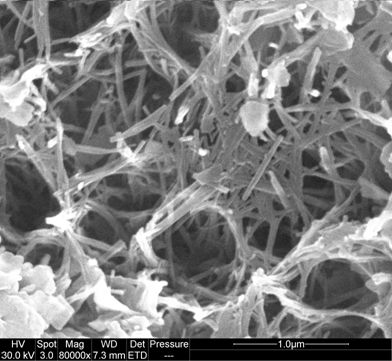 Preparation method of titanium dioxide nanotube film