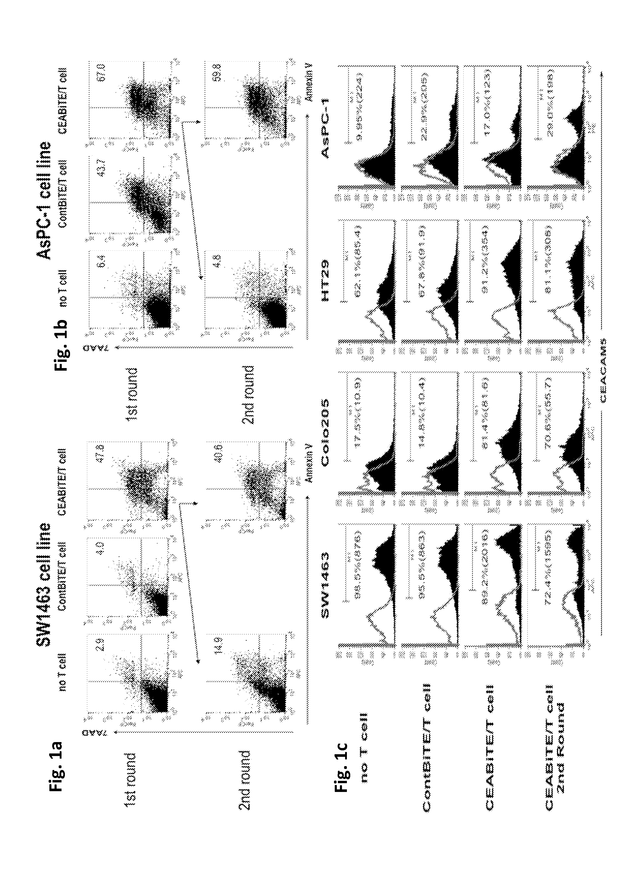 Compositions And Methods For Modulating And Redirecting Immune Responses