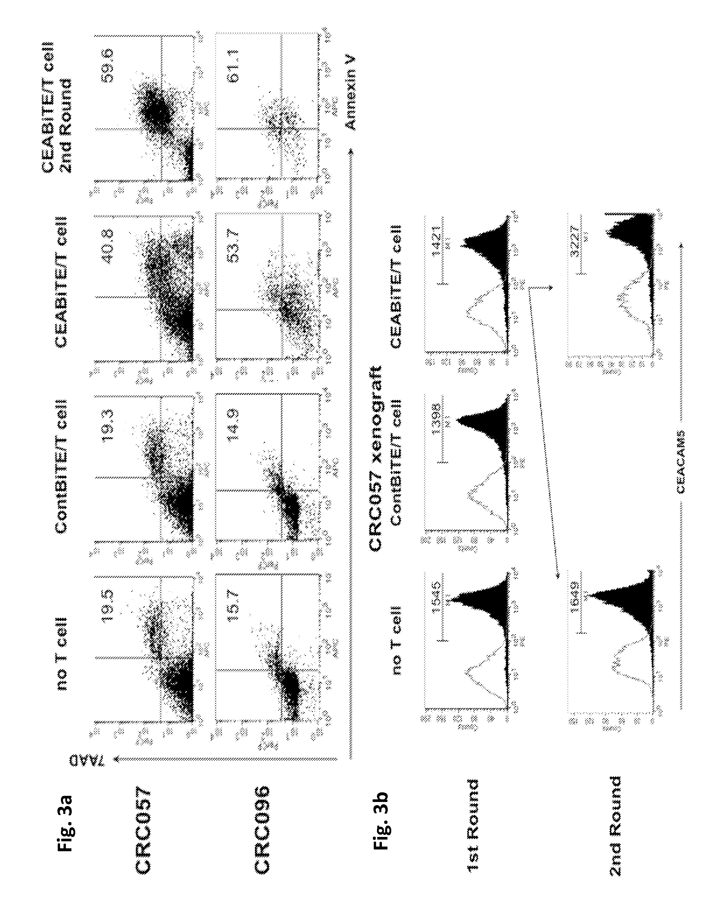 Compositions And Methods For Modulating And Redirecting Immune Responses