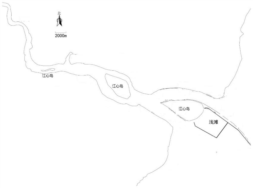 Medium-and-long-term dynamic landform evolution numerical simulation method for mountain stream strong tide estuary bifurcated section