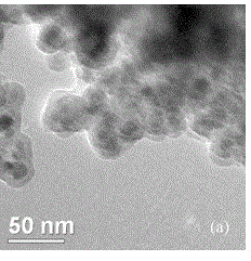 Quasi homogeneous magnetic nano-particle supported palladium catalyst and preparation method