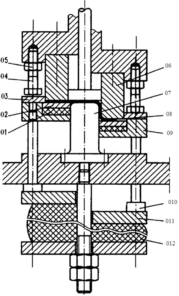 Punching device and method for automotive aluminum plate
