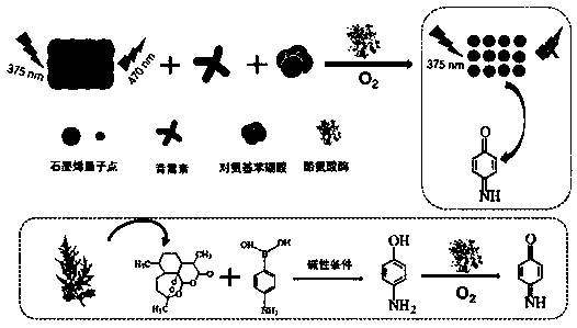 A Fluorescent Analysis Method for Measuring Artemisinin Content