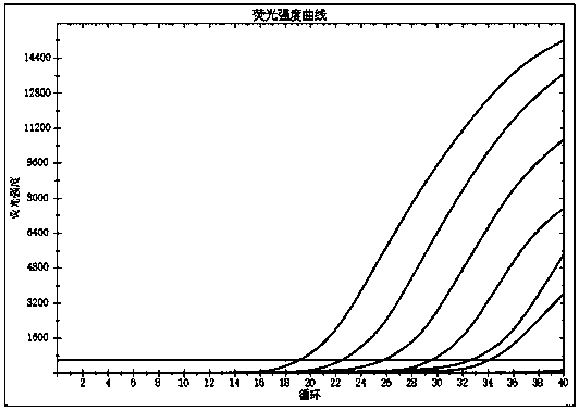 Method for rapidly and precisely detecting African swine fever virus on basis of CRISPR/Cas12a and application