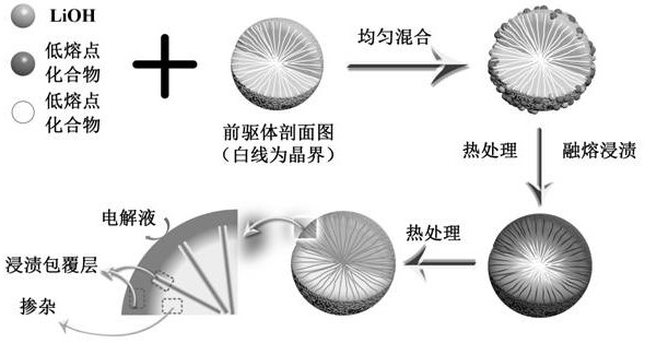 Doping and dipping coating synchronously modified polycrystalline positive electrode material and solid-phase preparation method and application thereof