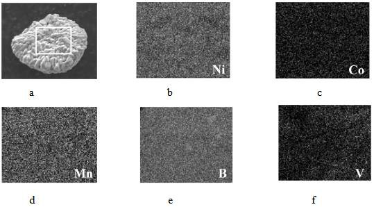 Doping and dipping coating synchronously modified polycrystalline positive electrode material and solid-phase preparation method and application thereof