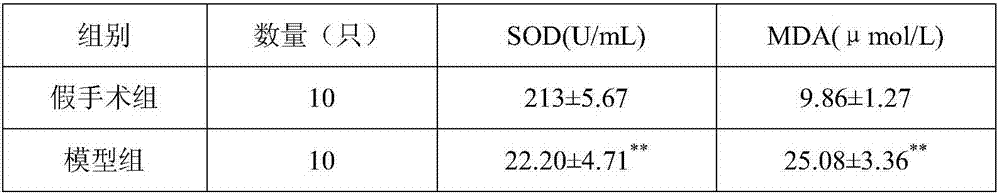 Application of herba houttuyniae extracts to preparation of medicine preparation for preventing and treating related diseases of myocardial ischemia reperfusion injury