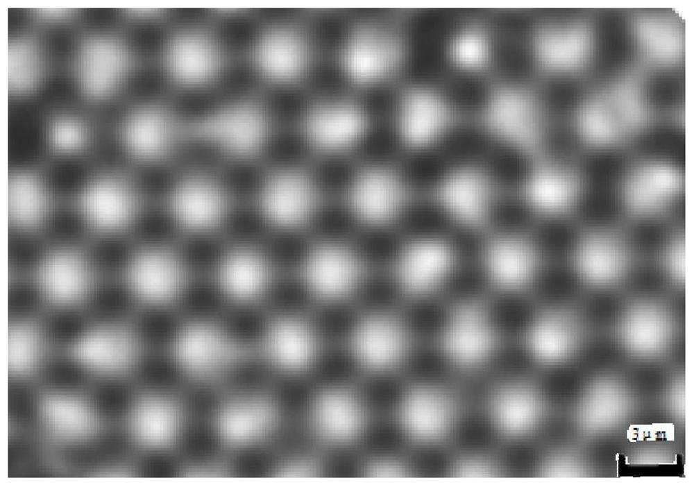 A method for preparing large-area single-layer colloidal crystals based on water film