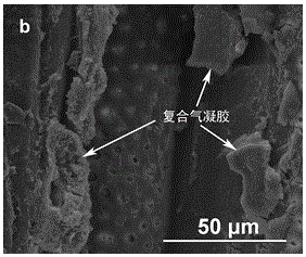 A kind of ammonium polyphosphate/sio  <sub>2</sub> Composite airgel type flame retardant reinforced wood and preparation method thereof
