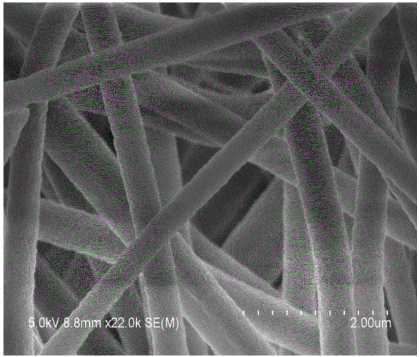 Preparing method and application of functional AOPAN-AA nanofiber membrane