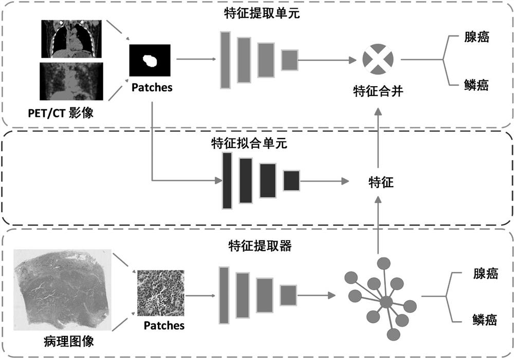 A pet/ct automatic lung cancer diagnosis and classification system based on feature fitting and its construction method