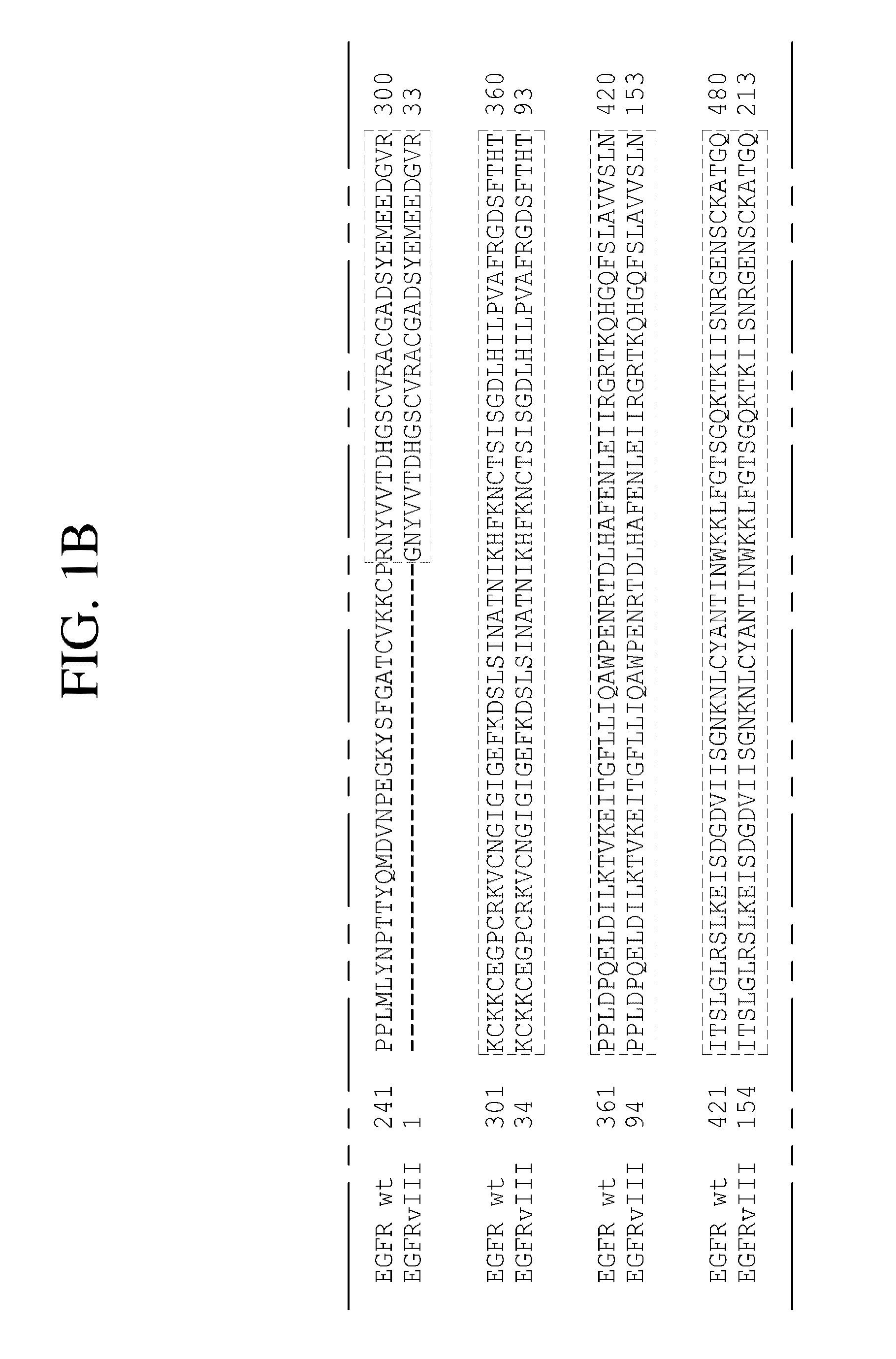 Antibodies directed to the deletion mutants of epidermal growth factor receptor and uses thereof