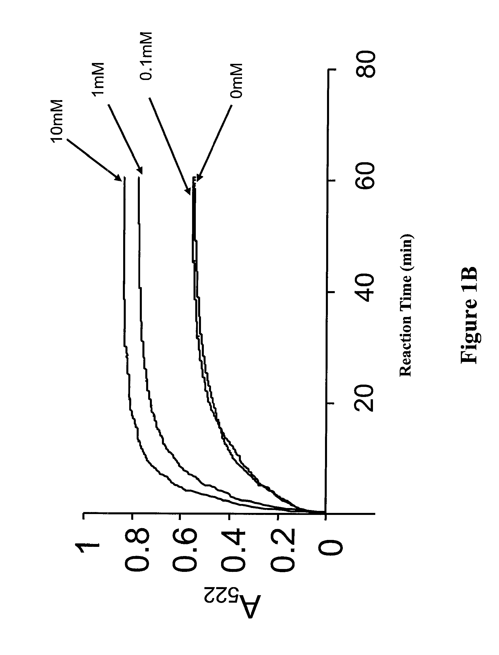 Enhancement of Iron Chelation Therapy