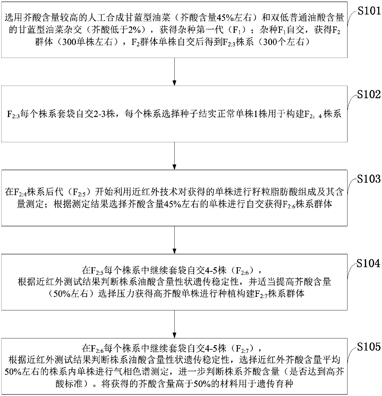 Method for preparing high erucic acid Brassica napus by artificially synthesizing Brassica napus