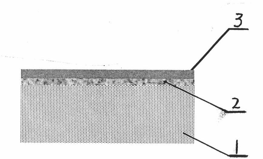 Graphite base with protective coating layer and preparation method thereof