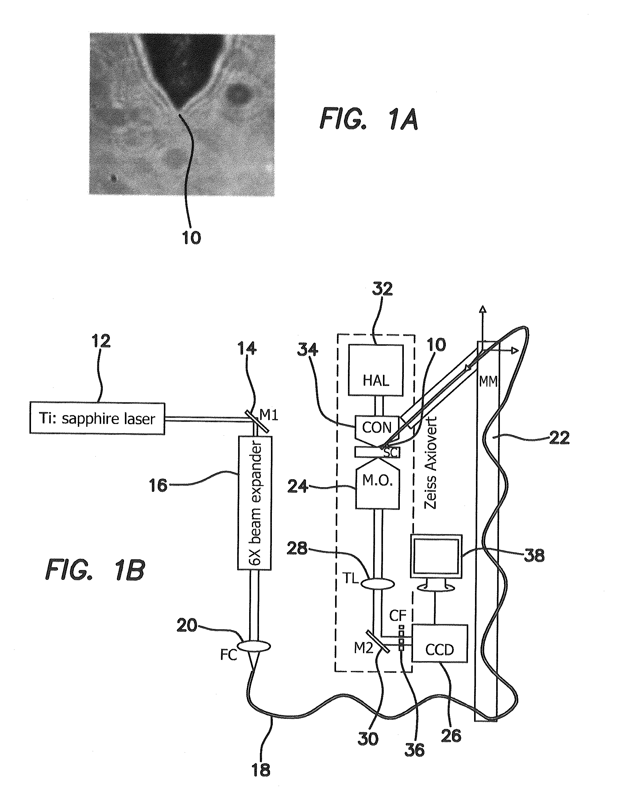 Apparatus and method for micromanipulation of microscale objects using laser light delivered through a single optical fiber and axicon lens