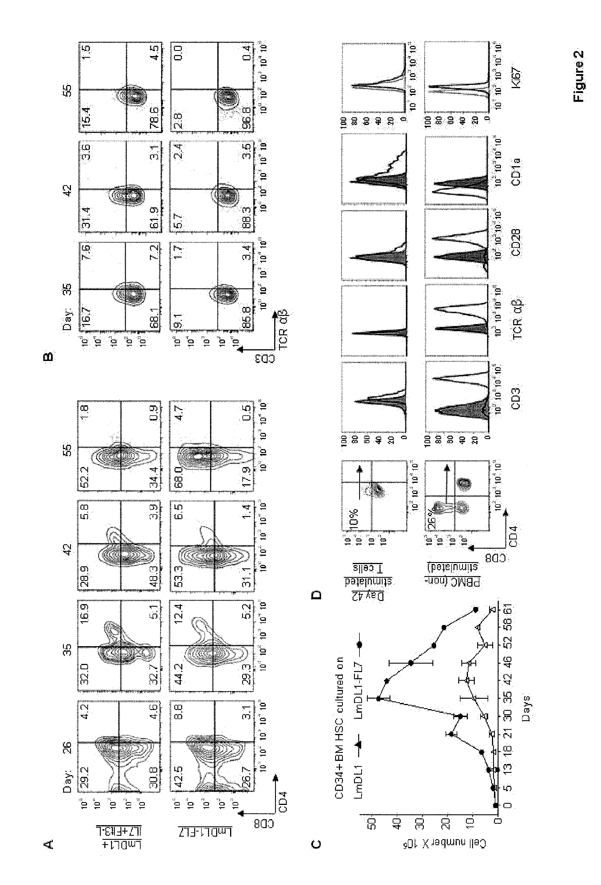 System and method for producing t cells