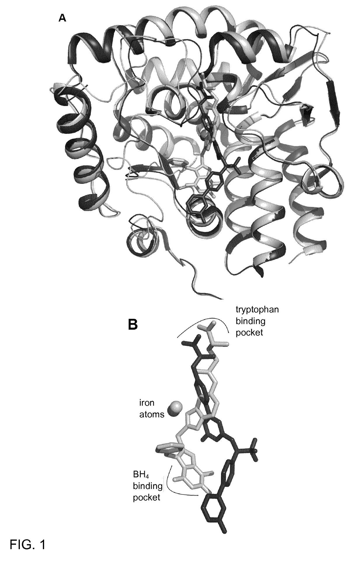 Xanthine derivatives, their use as a medicament, and pharmaceutical preparations comprising the same