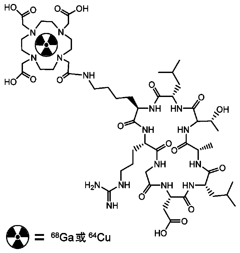 Cyclic polypeptide radiopharmaceutical for integrin alpha v beta 6 targeting and preparation method thereof