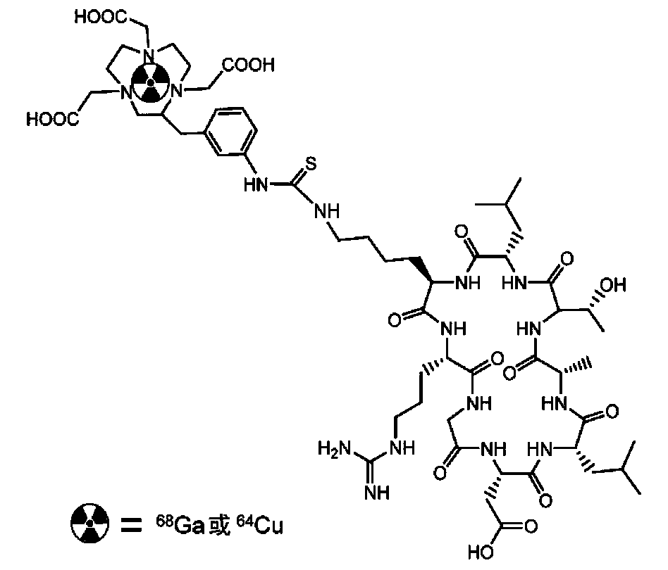 Cyclic polypeptide radiopharmaceutical for integrin alpha v beta 6 targeting and preparation method thereof