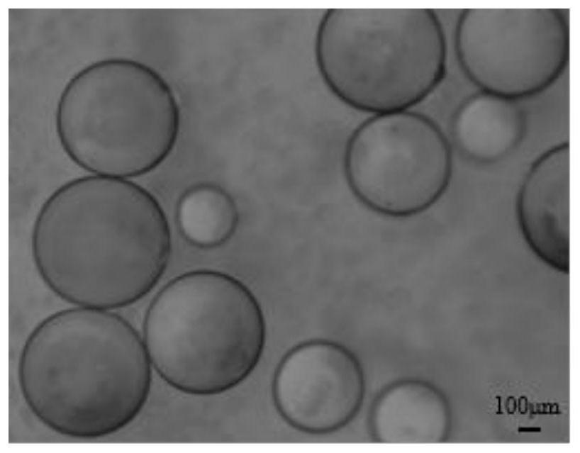 Composite adsorption material applied to field of blood purification and preparation method of composite adsorption material