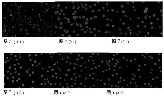 F3 polypeptide-targeted nanoorganometallic framework materials (nmofs) and preparation methods thereof