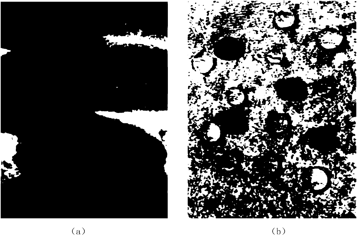 Hydrophobic treatment method for material surface