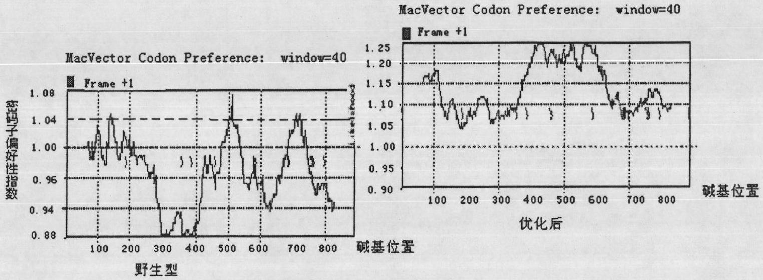 Codon-optimized EV71 VP1 gene and nucleic acid vaccine