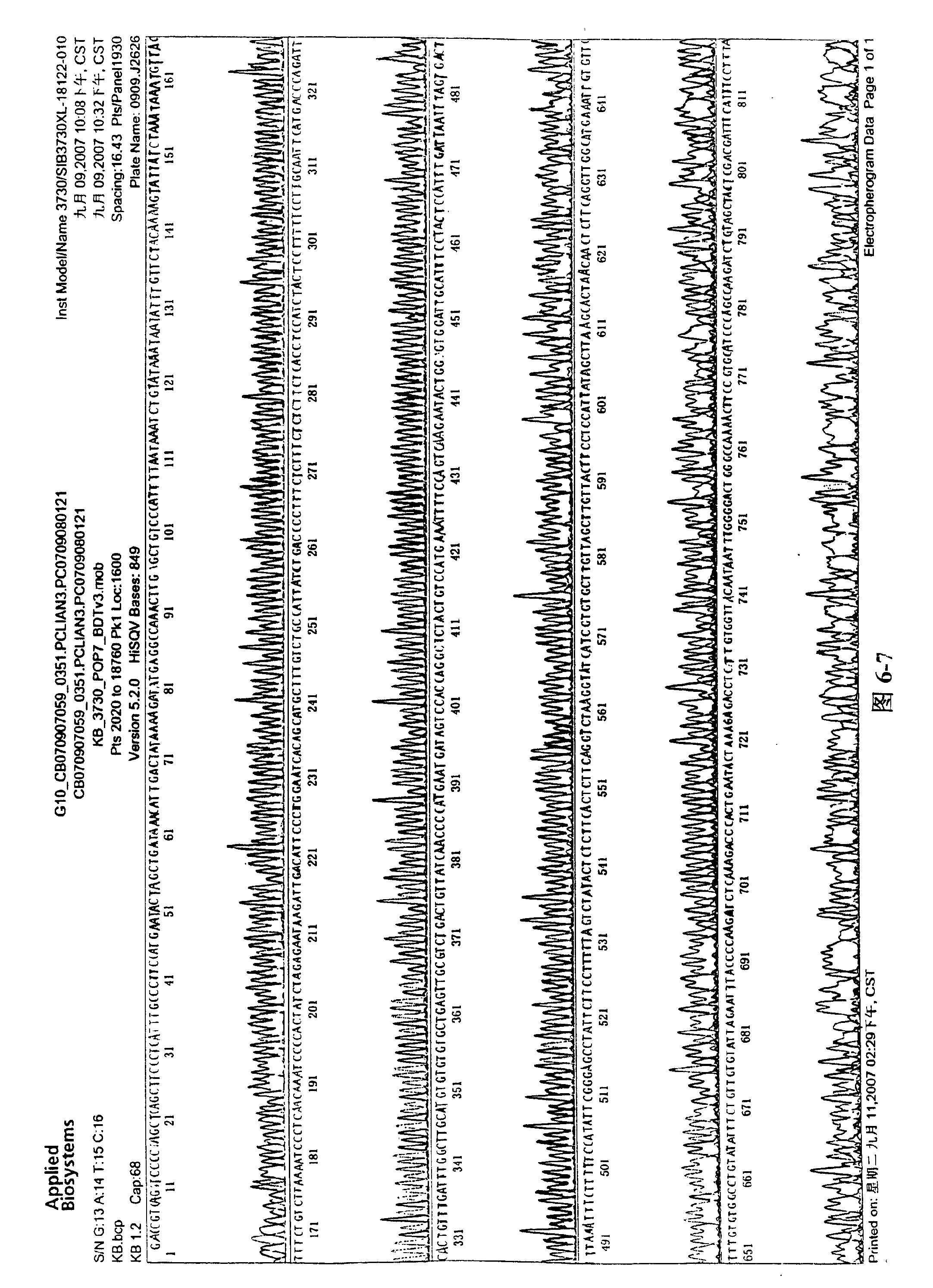 General-purpose highly effective eukaryon expression carrier p3I-GFPN and mastitis-resisting transgene carrier constructed by the same