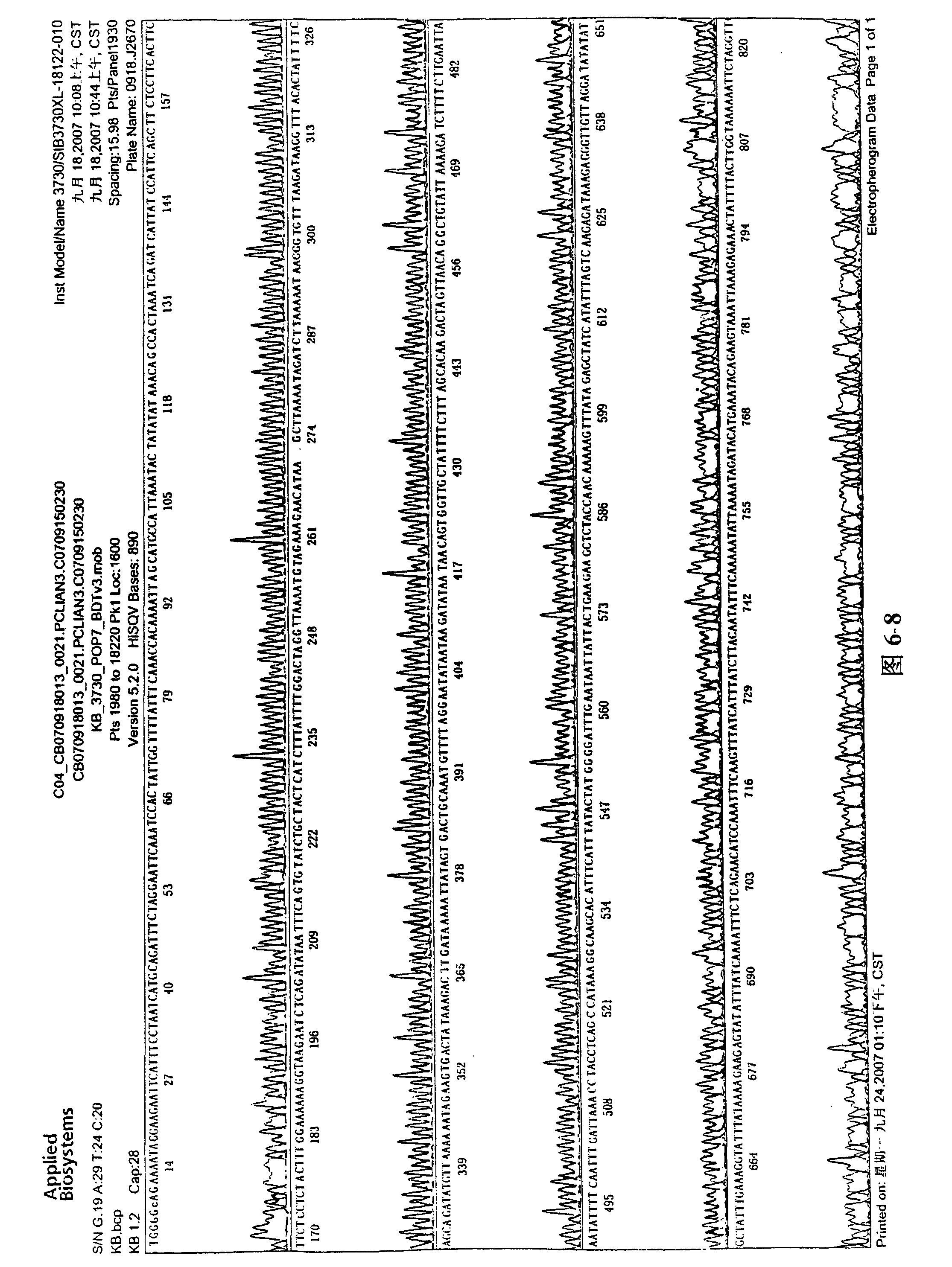 General-purpose highly effective eukaryon expression carrier p3I-GFPN and mastitis-resisting transgene carrier constructed by the same