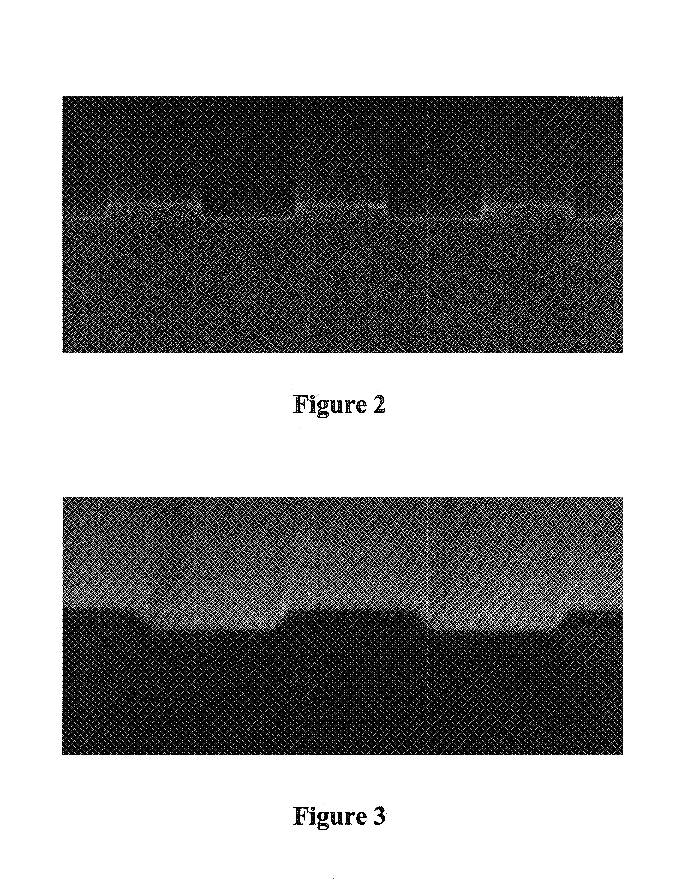 Wet developable hard mask in conjunction with thin photoresist for micro photolithography
