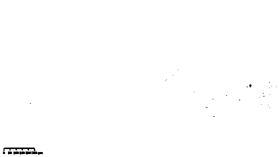 Membrane non-uniformity biological material transparency screening method and decellularized dermal matrix