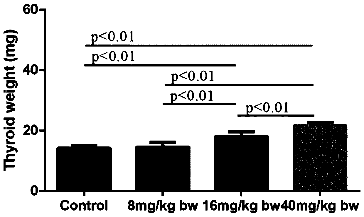 Method for establishing iodine absorption inhibition rat model