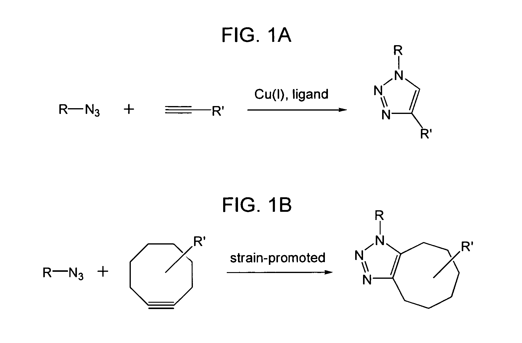 Compositions and methods for modification of biomolecules