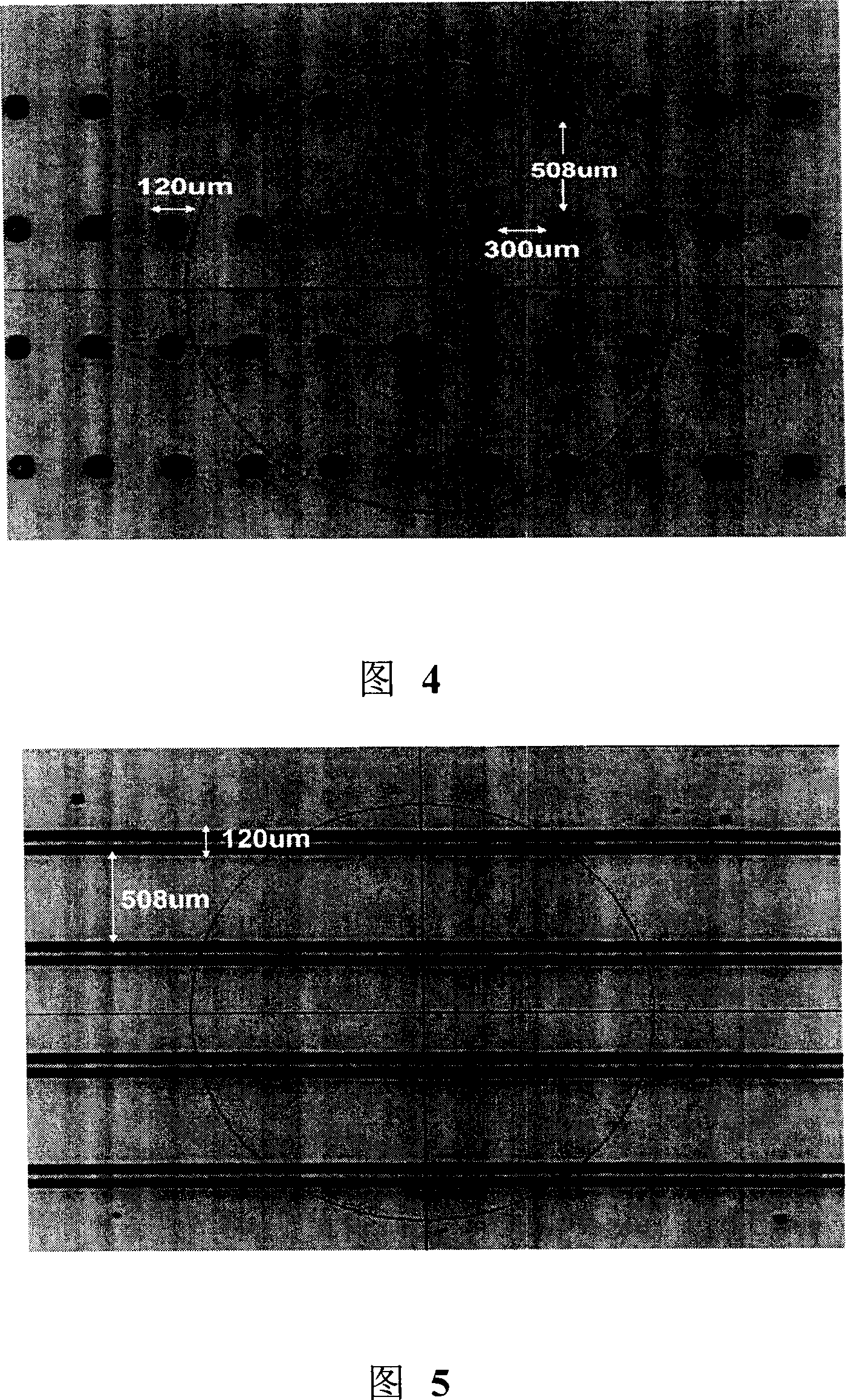 Ink jet cholesterol LCD/ color filter and preparing method thereof