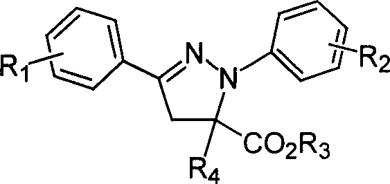 1,3-aryl group substituted pyrazoline whose 5 position contains ester gruop and its liquid phase synthesis method