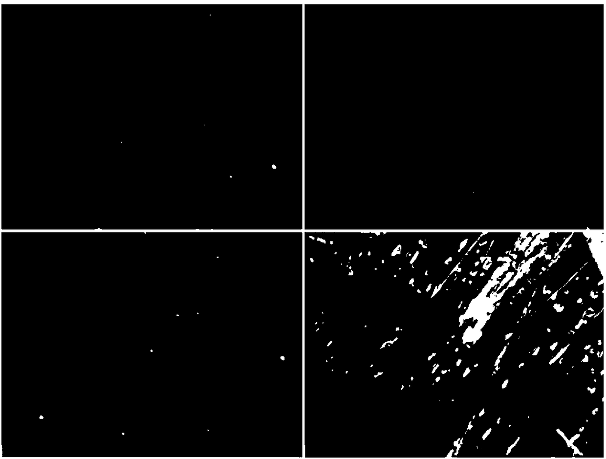 Liquid crystal-based detection kit for visually detecting tumor marker