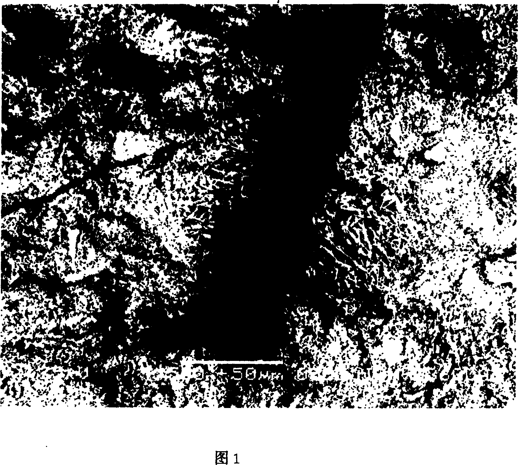 Positive lead cream of valve-controlled sealed plumbous acid accumulator for starting vehicle and production thereof