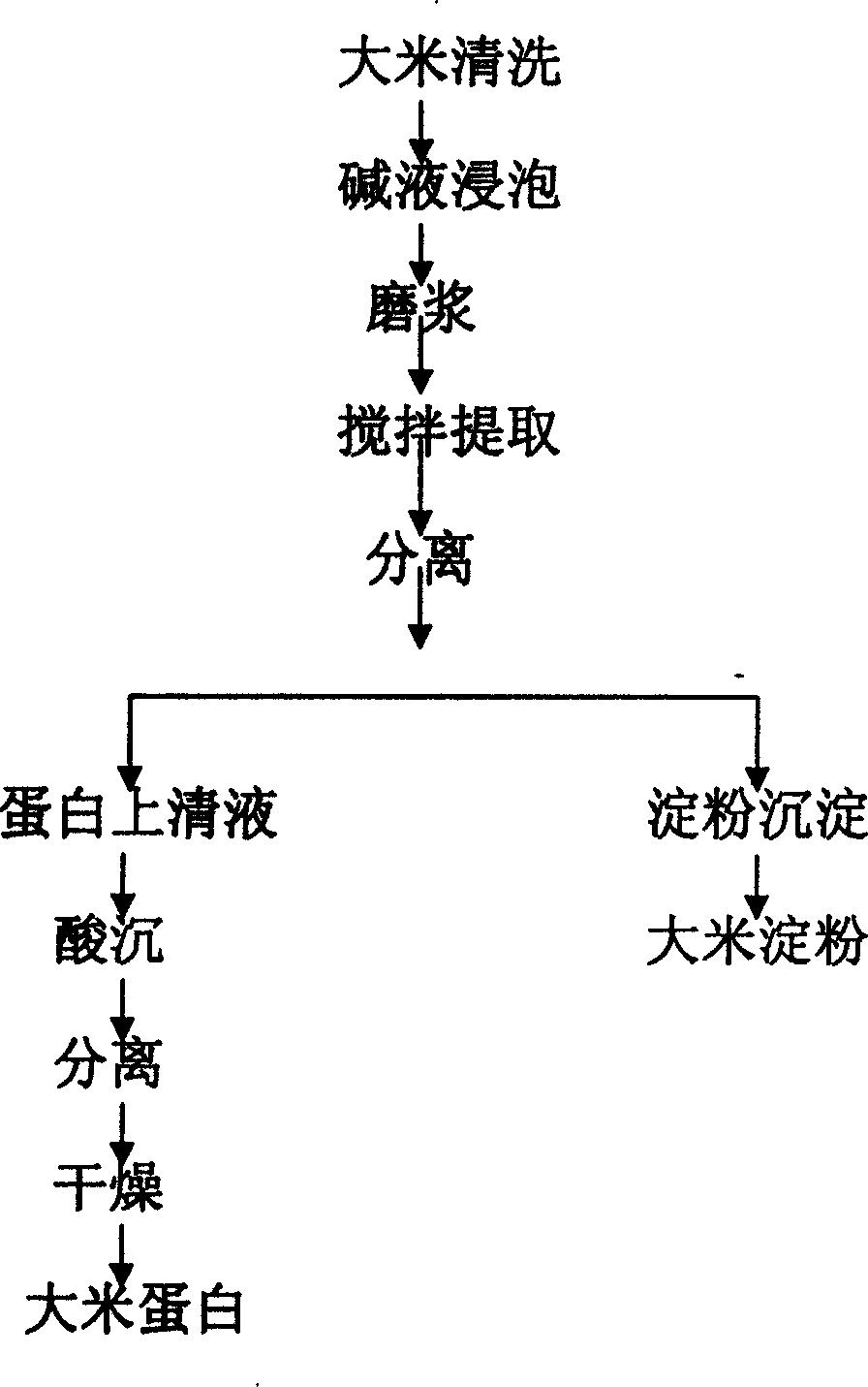 Method for extracting rice protein by alkaline process