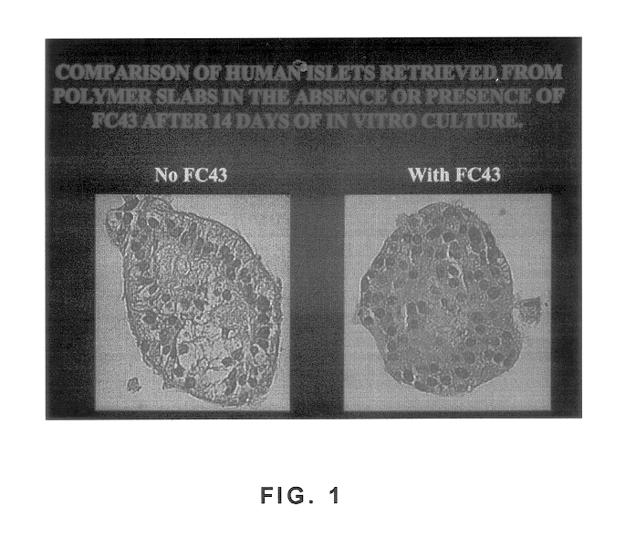 Polymer formulations containing perfluorinated compounds for the engineering of cells and tissues for transplantation that improves cell metabolism and survival, and methods for making same