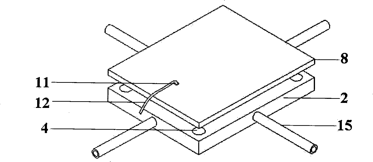 Microelectrode array chip for cell electrofusion
