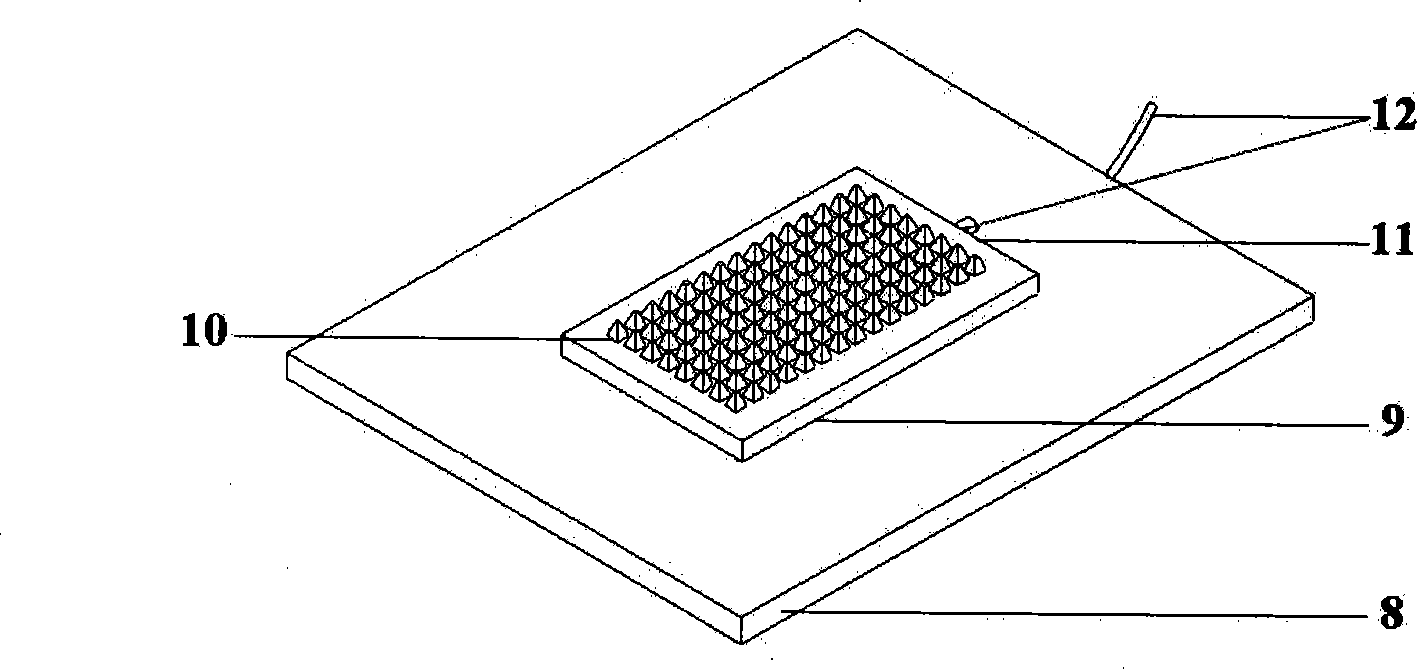 Microelectrode array chip for cell electrofusion